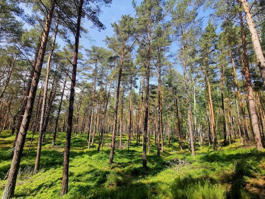 Campolohel- Przyczepa Kempingowa Buitenkant foto